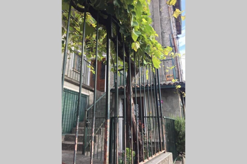 Nel Set Di Piccolo Mondo Antico Villa Viola Valsolda Buitenkant foto